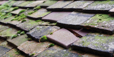 Brimpton roof repair costs